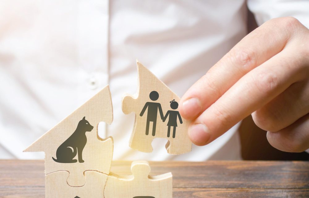 “Assifalvia Pluriservice Srl: Il tuo partner affidabile per le assicurazioni a Ladispoli”